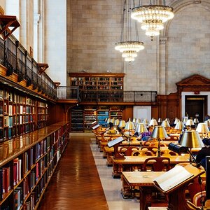 picture of a library for Center of Excellence